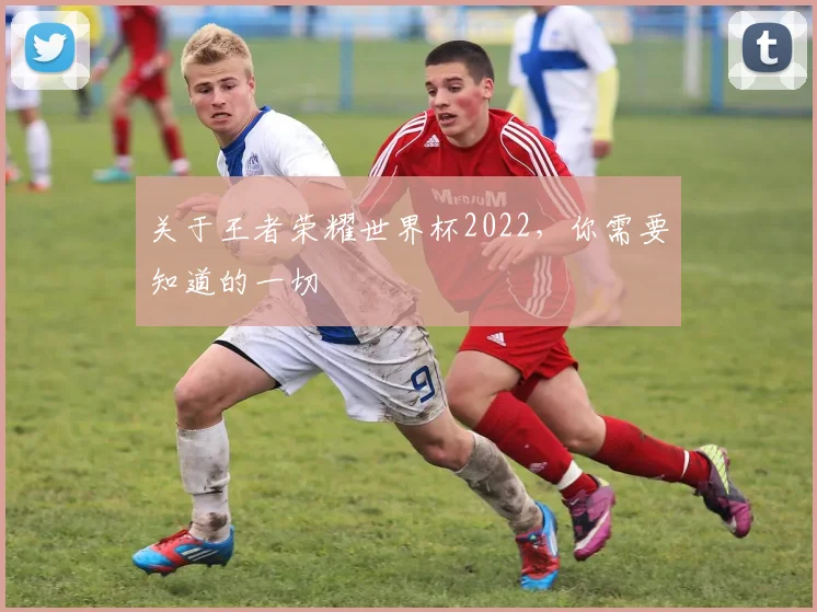 关于王者荣耀世界杯2022，你需要知道的一切