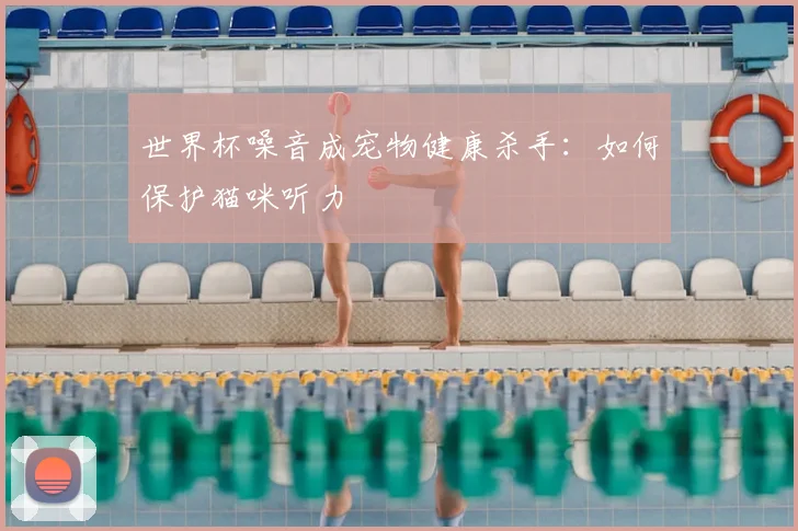 世界杯噪音成宠物健康杀手：如何保护猫咪听力