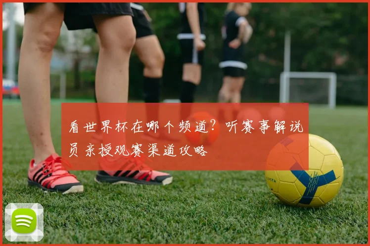 看世界杯在哪个频道?听赛事解说员亲授观赛渠道攻略