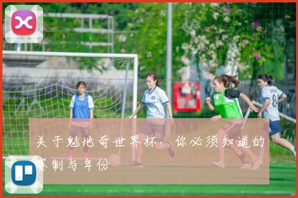 关于魁地奇世界杯，你必须知道的赛制与年份