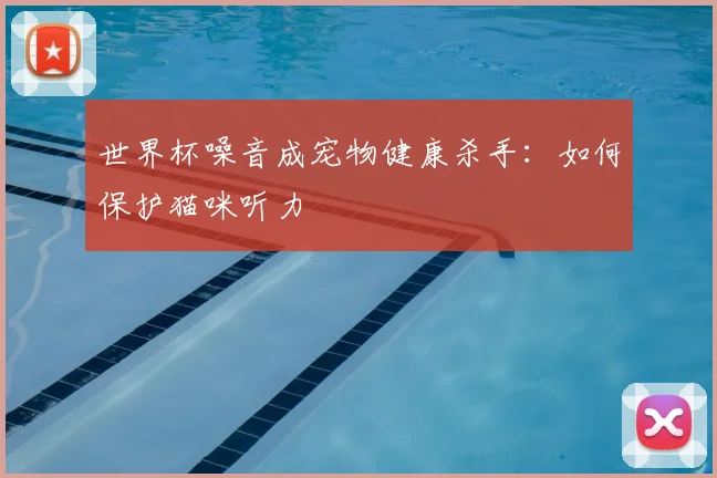 世界杯噪音成宠物健康杀手：如何保护猫咪听力