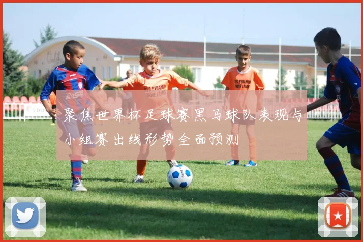 聚焦世界杯足球赛黑马球队表现与小组赛出线形势全面预测
